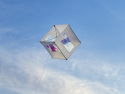 1c