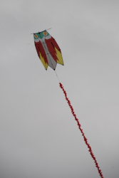 Penallta2007-017