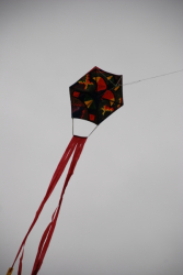 Penallta2007-019