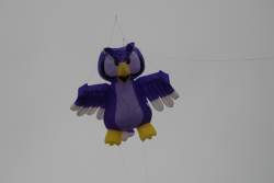 Penallta2007-020