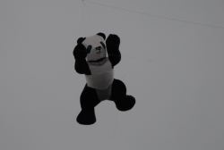 Penallta2007-022