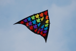 Penallta2007-028