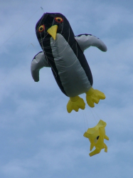 PonteOSOW2005-004