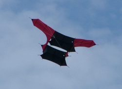 PonteOSOW2005-005