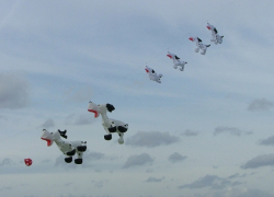 PonteOSOW2005-014