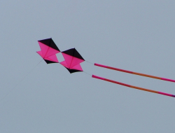 PonteOSOW2005-020