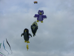 Pontefract2006-009