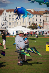 Portsmouth2010-068