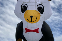 Kite Festivals 2021