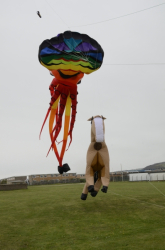 Prestatyn2012-024