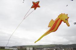 Prestatyn2012-044