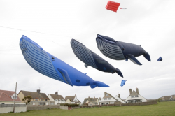 Prestatyn2012-048