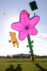 Prestatyn2014-024