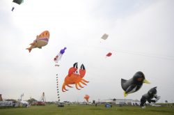 Prestatyn2014-033
