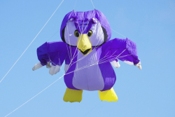 Prestatyn2015-015.jpg