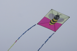 Prestatyn2015-032.jpg