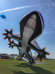 Prestatyn2019-041