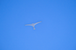 HuttoftAugust2025-014