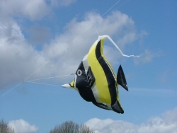 4m