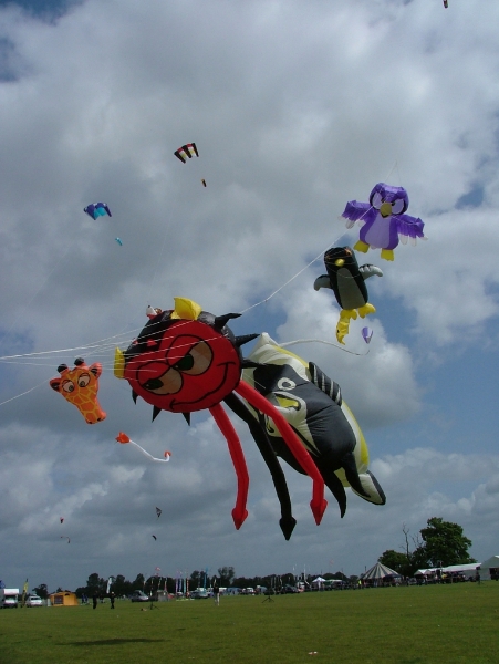 Rougham2007-010