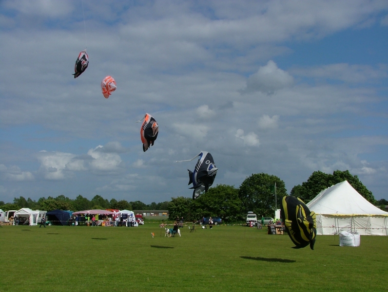 Rougham2007-024