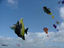 Rougham2007-003