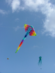 Rougham2007-007
