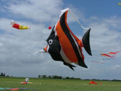 Rougham2007-020