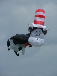 Rougham2007-023