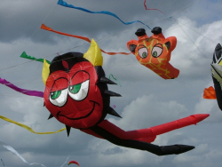 Rougham2007-027