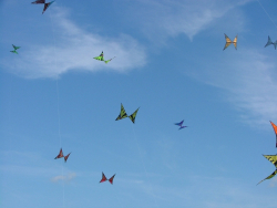 Rougham2007-031