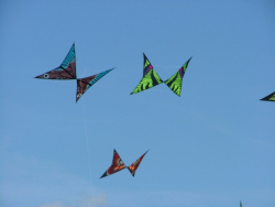 Rougham2007-032