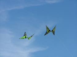 Rougham2007-034