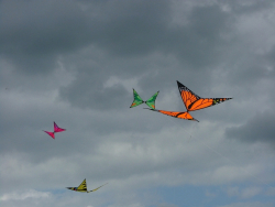 Rougham2007-040