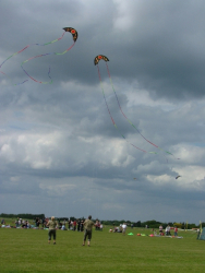 Rougham2007-054