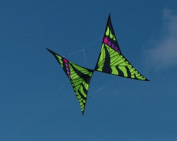 Roundhay2007-001