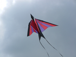 Roundhay2007-005