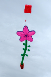 RutlandWater2018-015