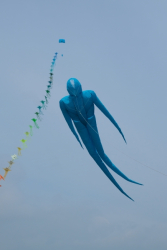 Scarborough2019-013