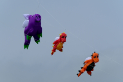 Scarborough2019-018