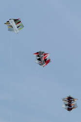 Scarborough2019-025
