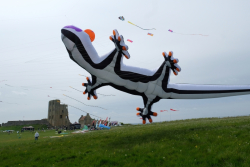 Scarborough2019-036
