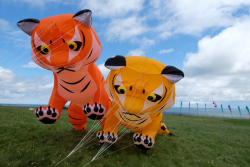 Scarborough2019-057