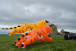 Scarborough2019-061