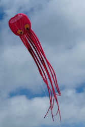 Scarborough2019-066