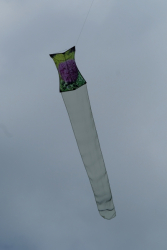 Scarborough2019-070