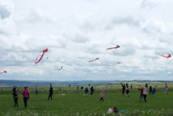 Scarborough2019-071