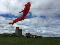 Scarborough2019-076