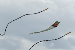 Scarborough2019-086