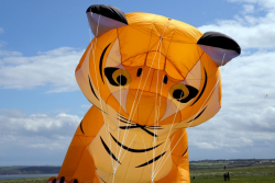 Scarborough2019-088